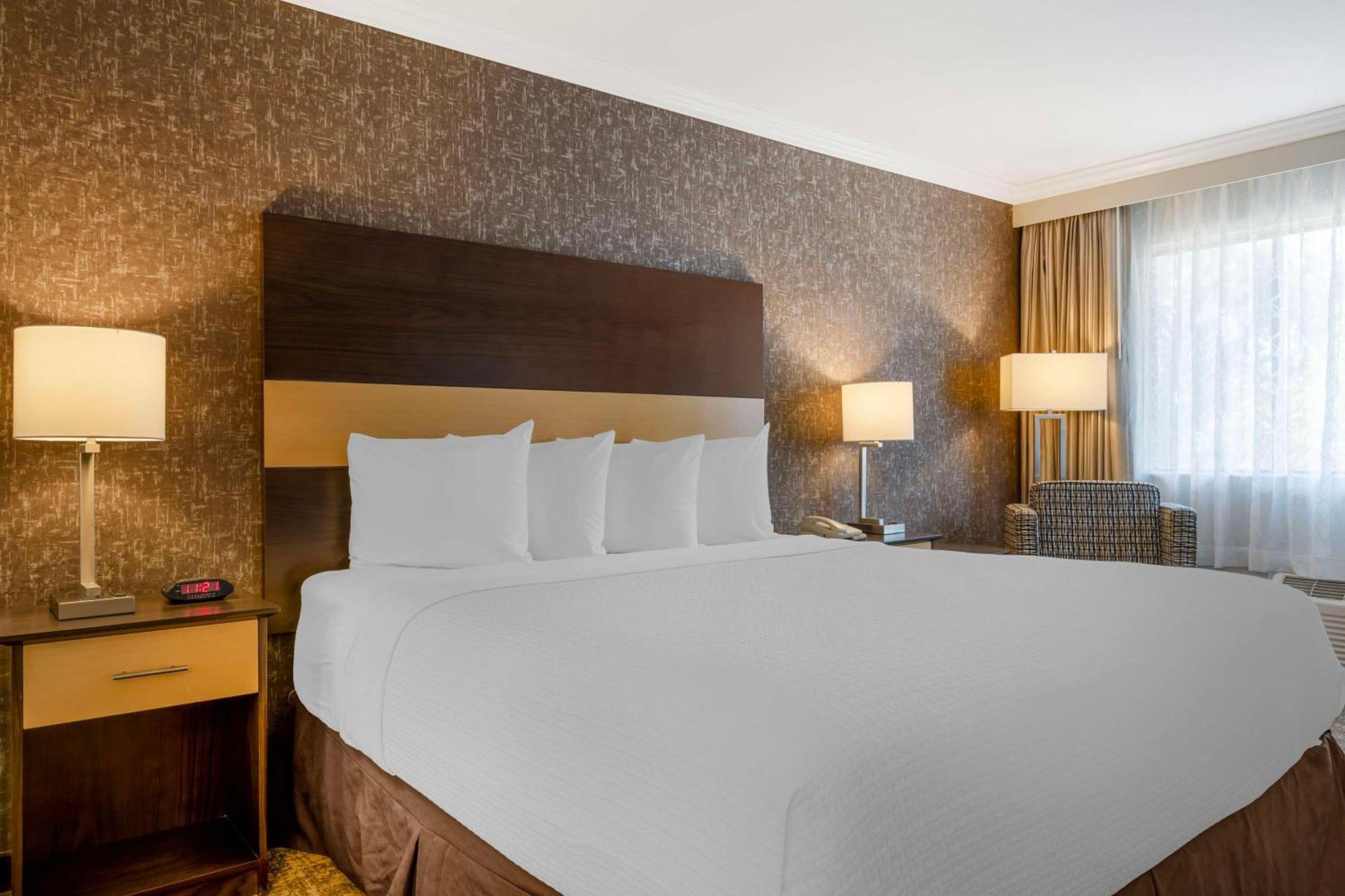 King Room,1709598661:JPEG