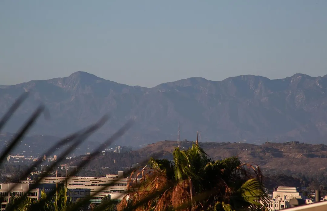 Overlooking Marina Del Rey Sailboats, Is Green Ginger Playa Del Rey On The Bluff,-1