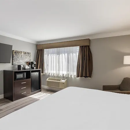 Best Western Plus La Mid-Town Hotel-3